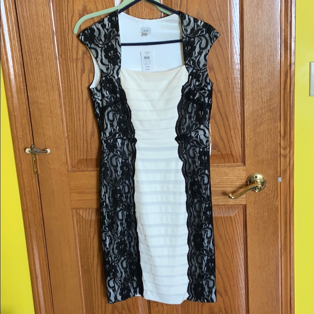 Beautiful cache dress never worn with tag.